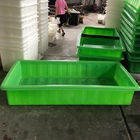 El color verde Aquaponic crece la cama con representar los sistemas de Greenhousr Aquaponic