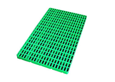 Plataforma plástica verde de tierra de encargo del piso de Warerhouse para el congelador -30 C de la baja temperatura