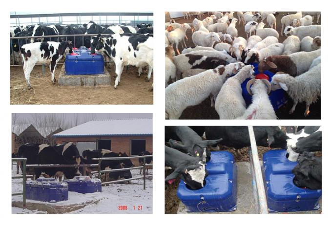 Frost equipamiento agrícola antihielo auto del ganado del canal del bebedor de la cabra de las ovejas del ganado del cuenco/de la vaca del agua potable libre/del calor