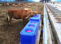 Bebederos plásticos automáticos del ganado del flujo contiuous para Rotomolding del bebedero