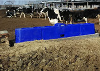 Canal automático termo del agua de LLDPE para el ganado/cerdo los 6M 40L libre antihielo - 80L