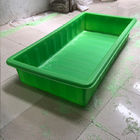 El color verde Aquaponic crece la cama con representar los sistemas de Greenhousr Aquaponic
